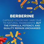 Nutrivein Berberine Supplement 1200 mg with Ceylon Cinnamon, 120 Capsules | High-absorption berberine HCl for men and women. Supports metabolism, digestion, and natural defenses. Vegan and non-GMO.