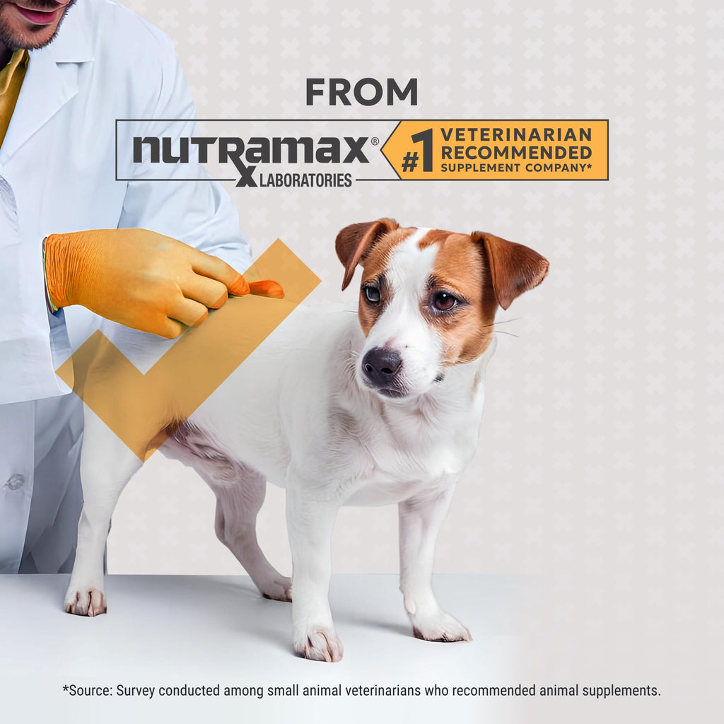 Nutramax Filaquin Anal Gland Supplement for Dogs, Soft Chews, 90ct