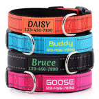 Personalized Dog Collars Custom with Pet Name & Phone for Small Medium Dogs