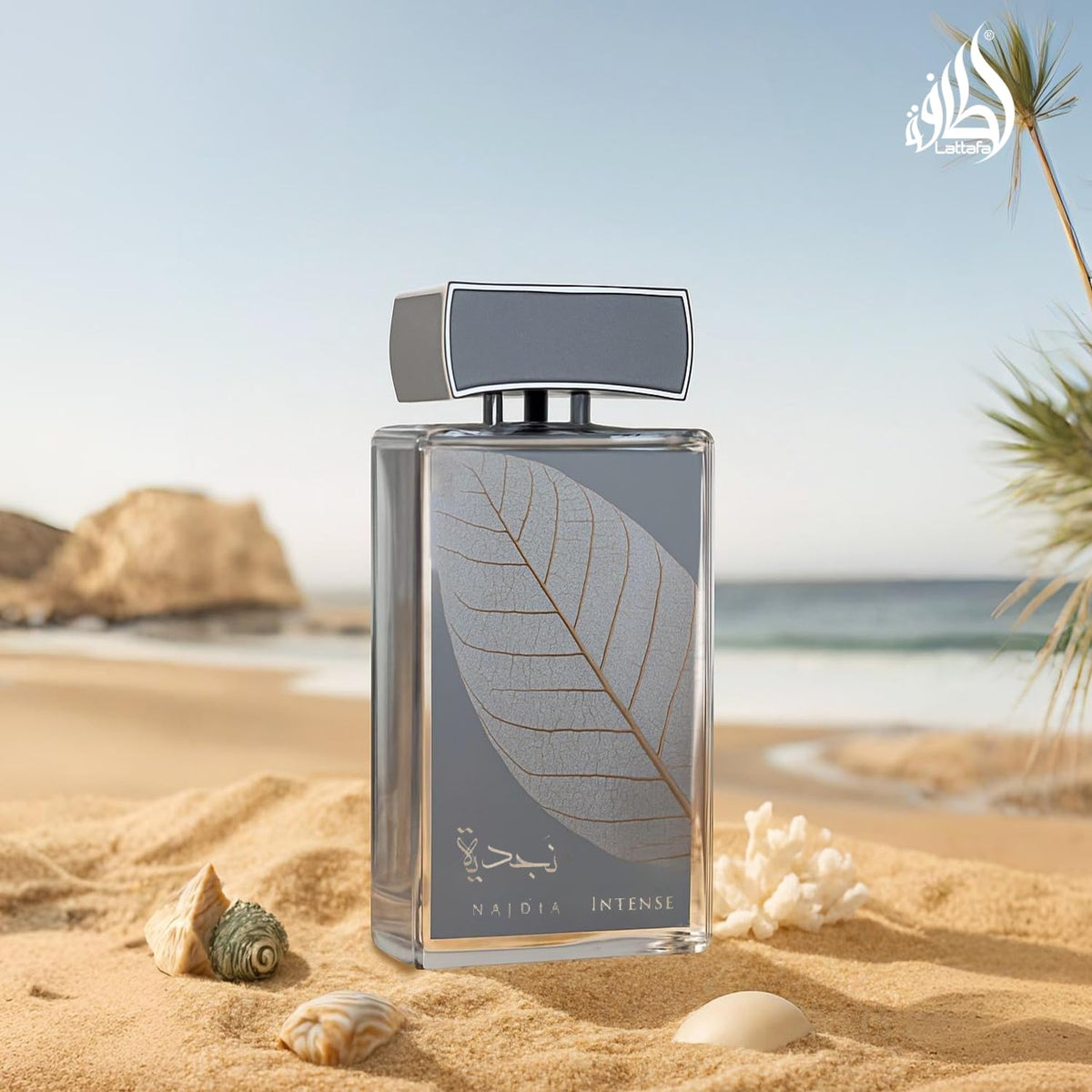Lattafa Najdia Intense – Fresh, Marine, Woody – Eau de Parfum Spray Long-Lasting Fragrance for Men, 3.4 Ounce / 100 ml