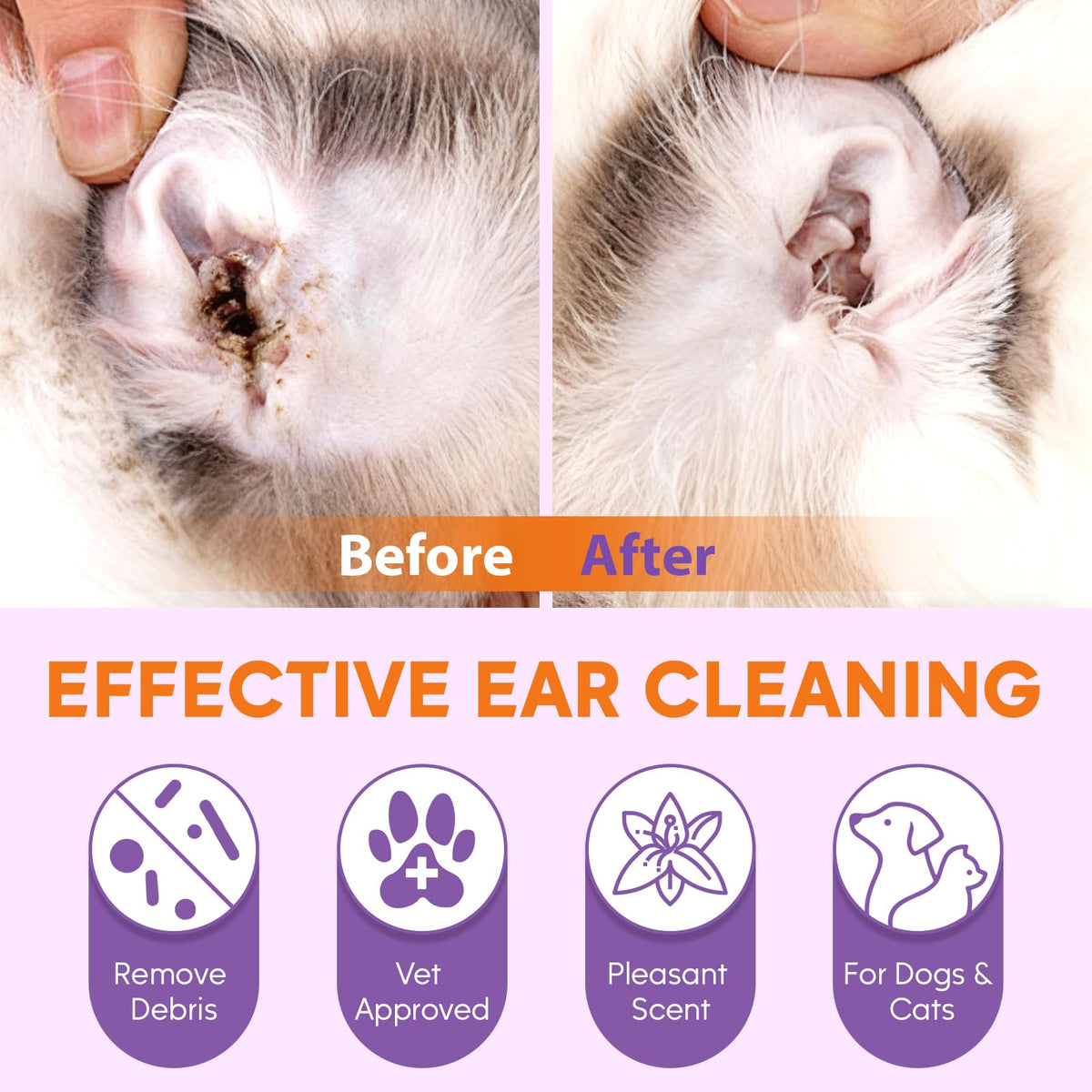Pjordo Pet Ear Cleaner for Dog & Cat, Natural Formula - Aloe & Witch Hazel