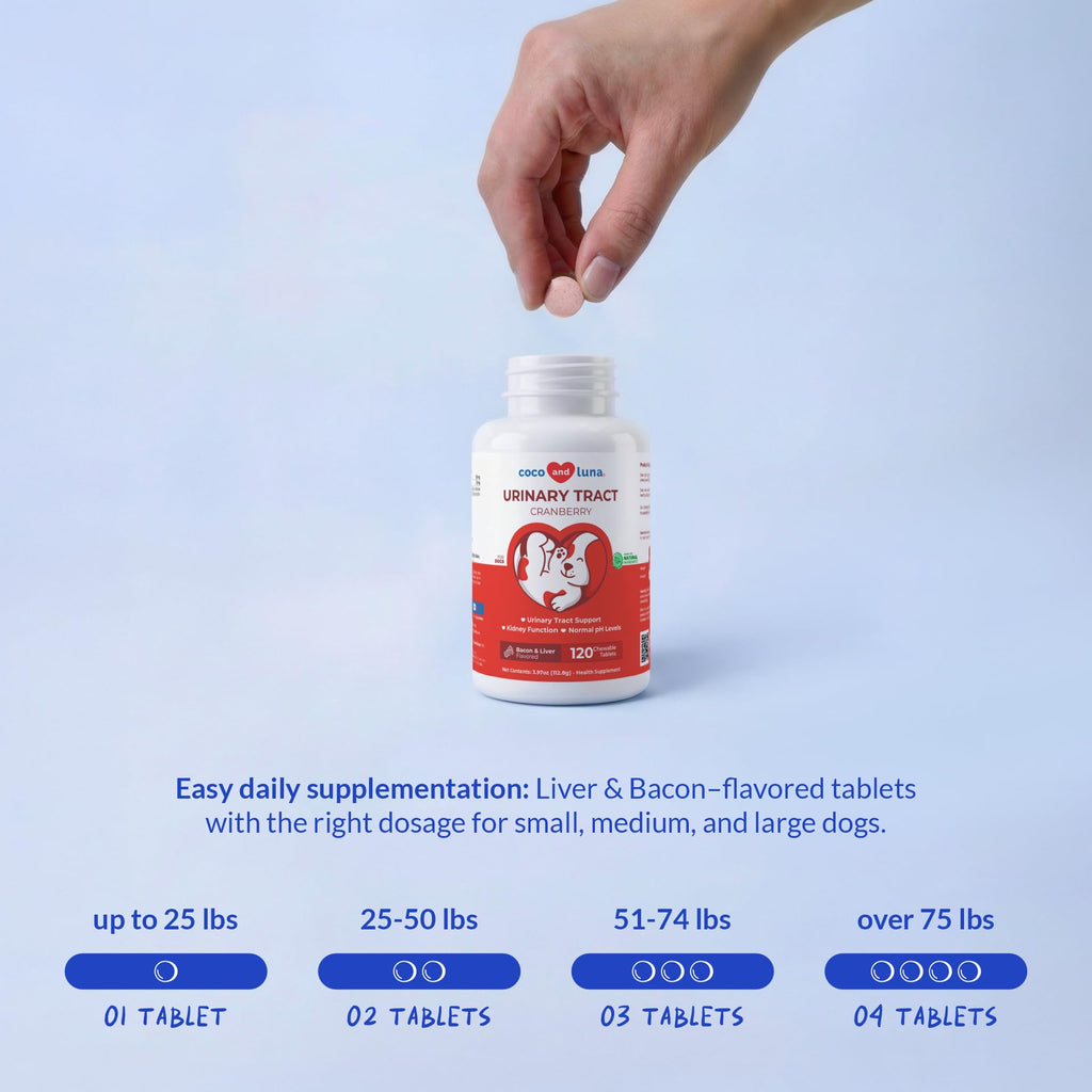 Cranberry Supplement for Dogs UTI Treatment & Bladder Support, 120 ct