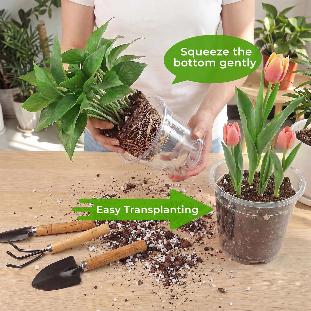 Clear nursery pots with drainage holes ensure easy transplanting, perfect for plant care. Available at Curat Cart.
