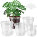 Premium imported clear nursery pots with drainage holes, perfect for healthy plant growth. Available at Curat Cart.