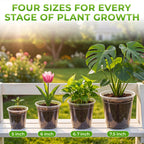 Premium imported clear nursery pots with drainage holes, available in four sizes for all plant growth stages at Curat Cart.