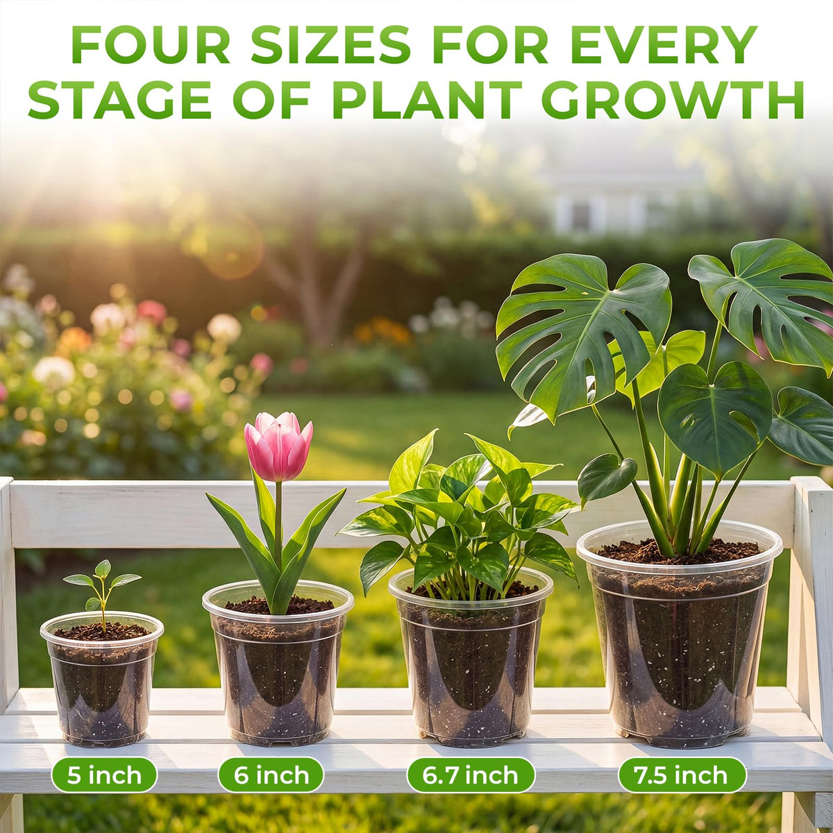 Premium imported clear nursery pots with drainage holes, available in four sizes for all plant growth stages at Curat Cart.