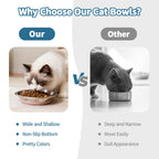 Discover premium imported stainless steel cat bowls at Curat Cart, featuring a wide and shallow design for comfort and style.