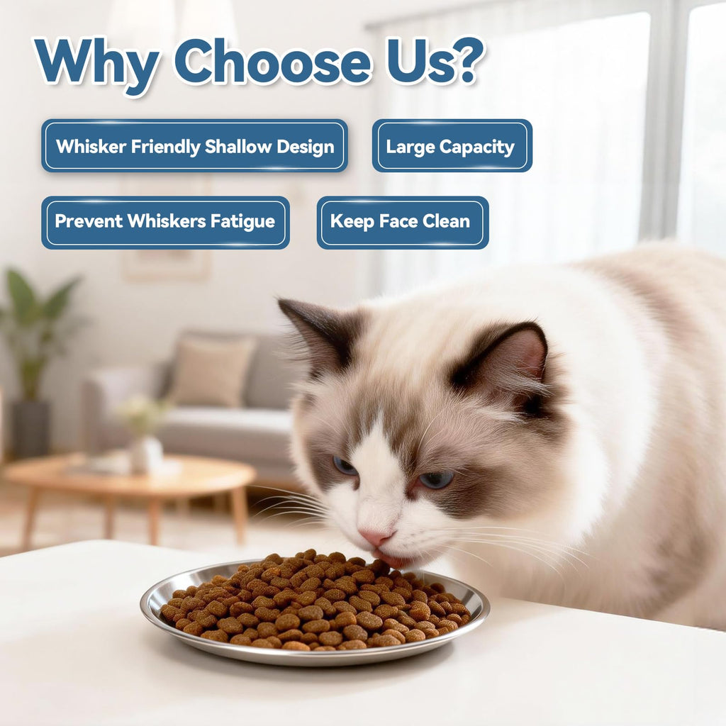 Premium imported stainless steel cat food bowls designed for whisker comfort, available at Curat Cart. Enhance your pet's dining experience.