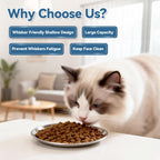 Premium imported stainless steel cat food bowls designed for whisker comfort, available at Curat Cart. Enhance your pet's dining experience.