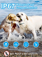 Buy now Bousnic Dog Shock Collar 2 Dogs (5-120Lbs) - 3300 ft Waterproof Training Collar for Dogs Large Medium Small with Rechargeable Remote, Beep (1-8) Vibration (1-16) and Humane Shock (1-99) Modes at indiglob india