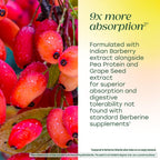 MegaFood Berberine Phytosome, Metabolism & Cholesterol Support, 60 Capsules