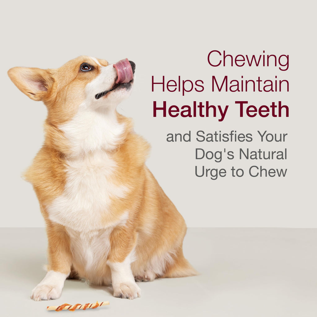 SmartBones SmartChips Rawhide-Free Dog Treat, Real Peanut Butter, 12 Count