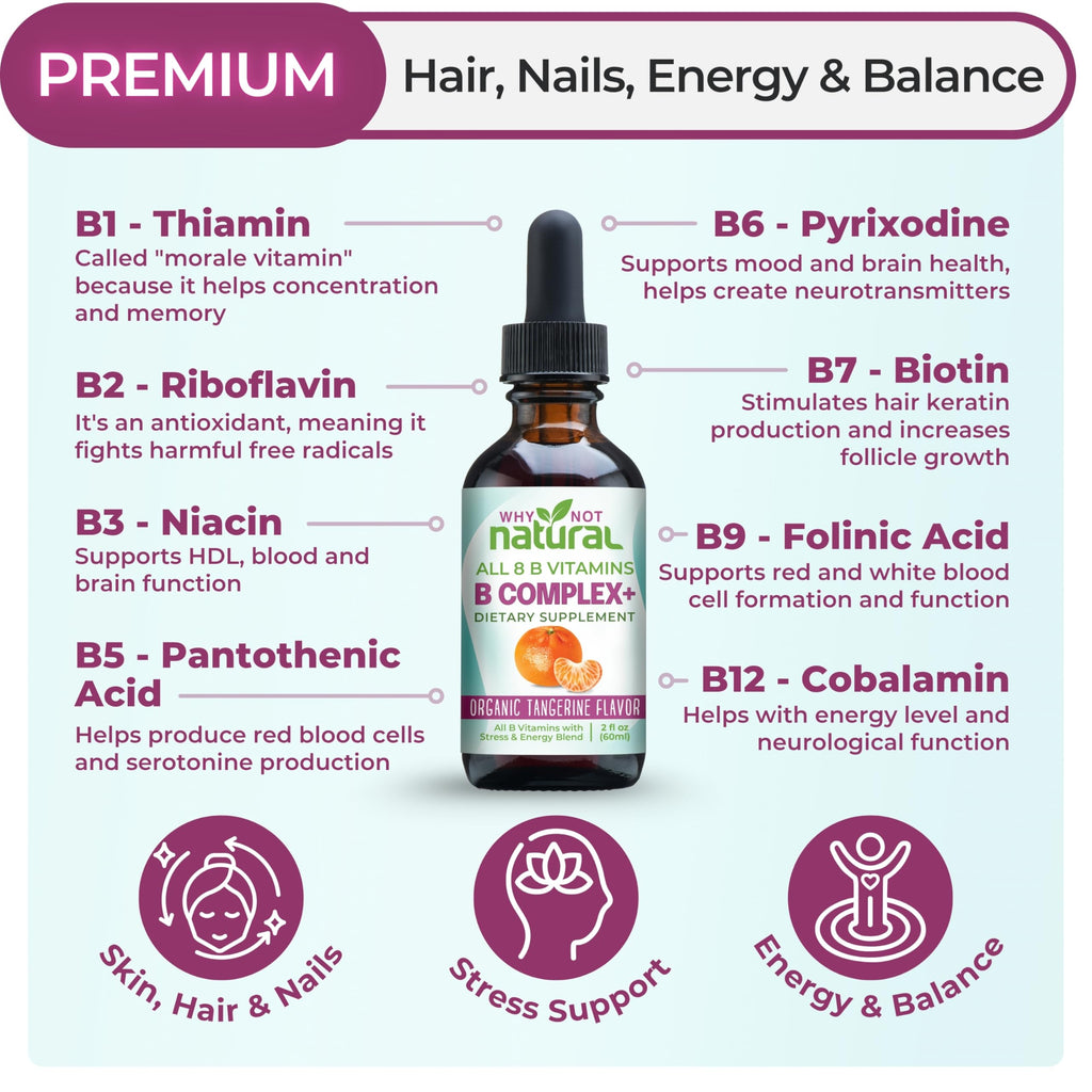 Why Not Natural Vitamin B Complex Liquid Drops - Supplement for Women - Vegan and Sublingual Forms of B1 B2 B3 B5 B6 Biotin Folate and Choline - Plus Blend for Energy Support