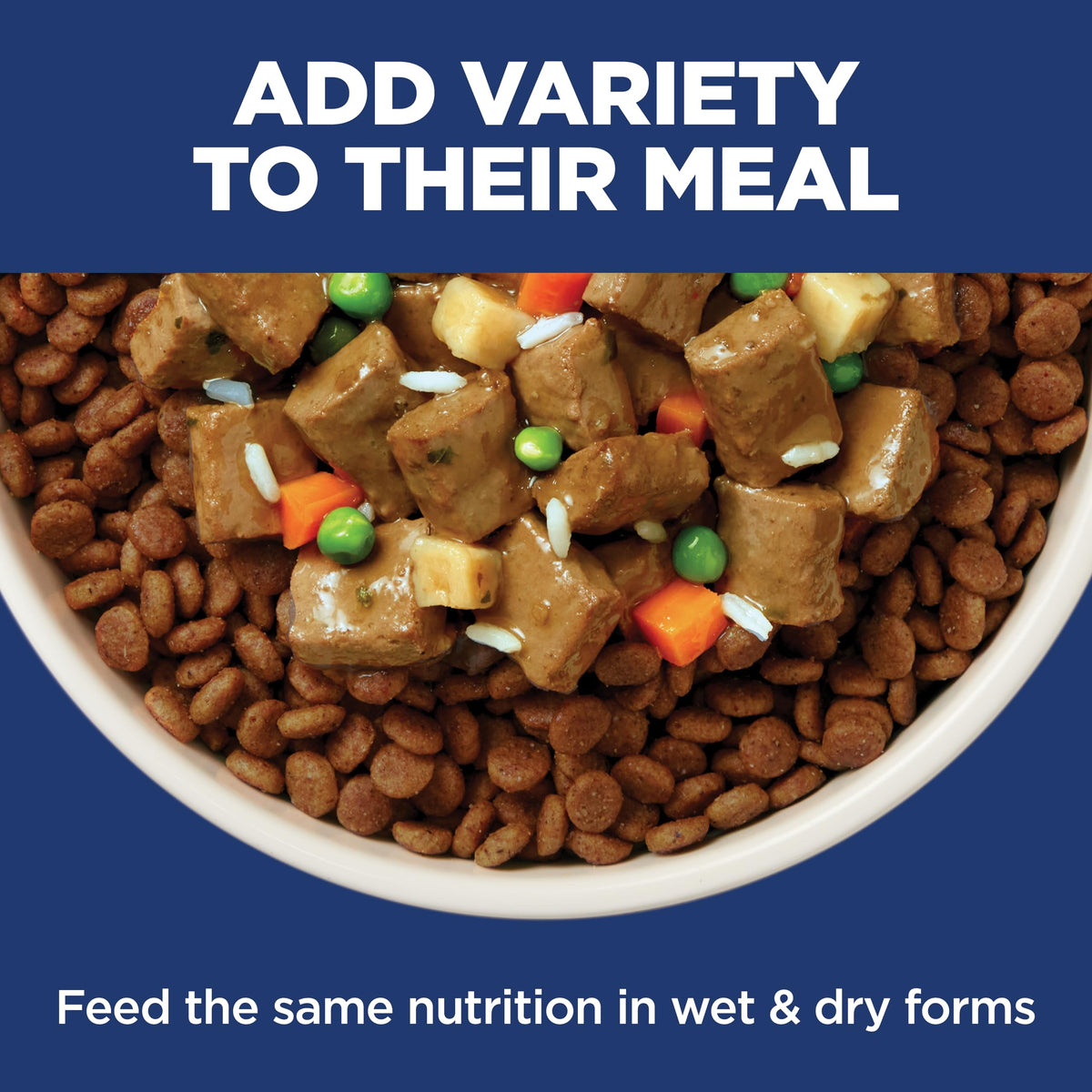 Hill's Science Diet Sensitive Stomach & Skin Large Breed Dry Dog Food