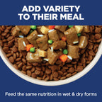 Hill's Science Diet Sensitive Stomach & Skin Grain Free Dry Dog Food