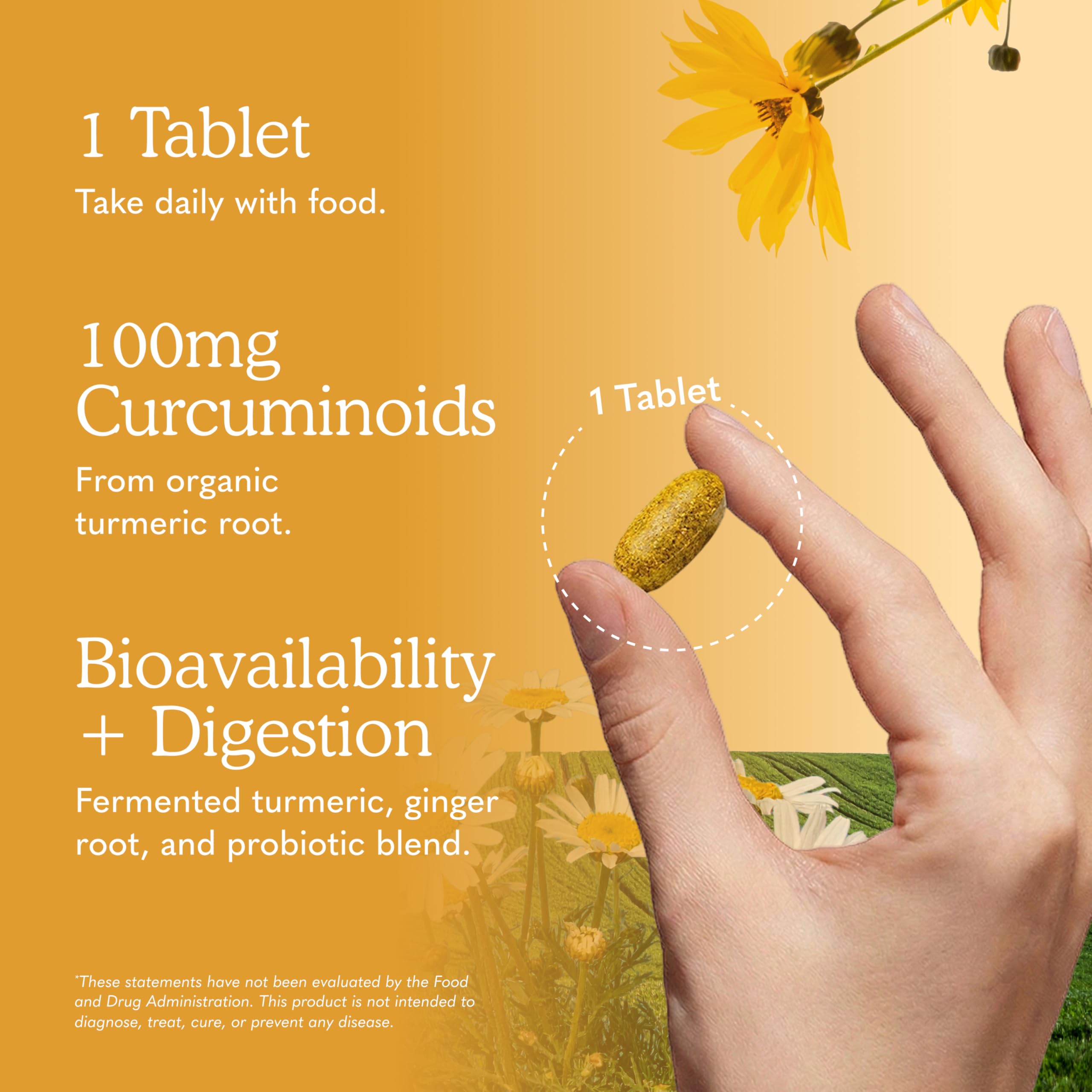 Garden of Life Organics Extra Strength Turmeric Inflammatory Response 60 Tablets-100mg Curcumin (95% Curcuminoids) Black Pepper, Probiotics, Organic Non-GMO Vegan Gluten Free Herbal Supplement