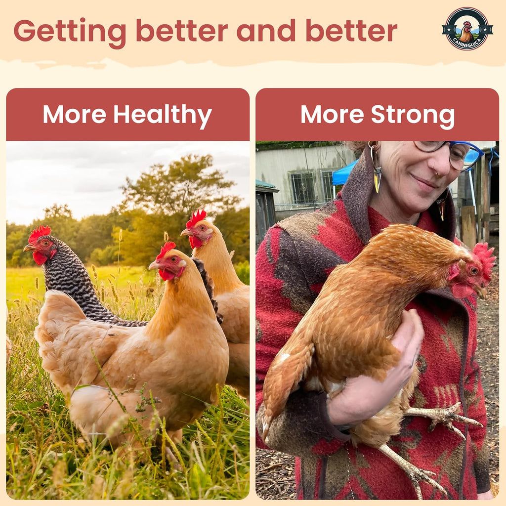 Natural Chicken Dewormer Powder, Chili Mix Formula, 1LB XL Pouch, Poultry Wormer for Laying Hens, Egg Safe, Gut Health Support, US-Made for Backyard Flocks