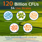Innate Vitality Probiotics 120 Billion CFUs for Men & Women, 34 Strains with Prebiotics & Digestive Enzymes, Immune & Digestive Health, Delayed Release, Shelf Stable, 30 Vegan Capsules