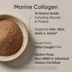 Sports Research® Marine Collagen Peptides Dark Chocolate (15oz) | 10g Wild Caught Marine Collagen per Serving | Protein Powder w/ Vital Amino Acids for Hair, Skin, & Joint Support
