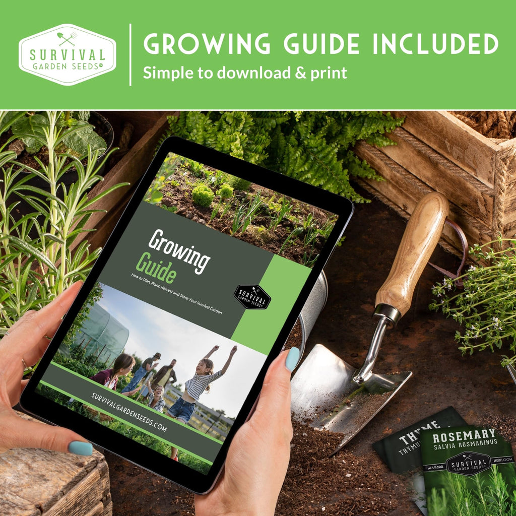 Cool Season Vegetable Seeds Variety Pack for Planting