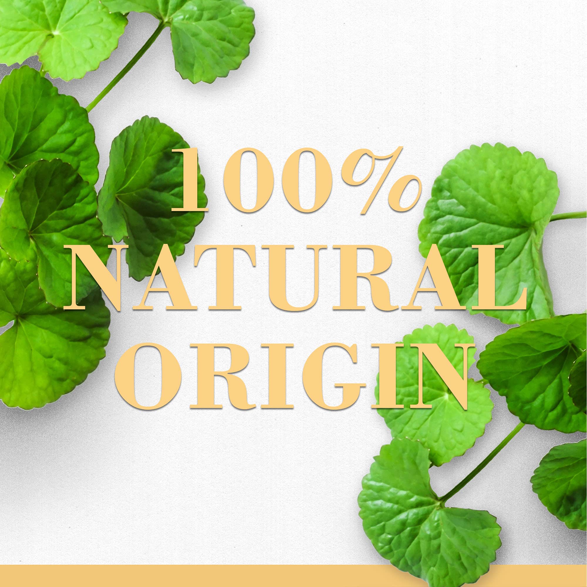 Buy now Burt's Bees 100% Natural Origin Multipurpose Res-Q Ointment with Cica, 15g, 15 g (Pack of 1) at indiglob india