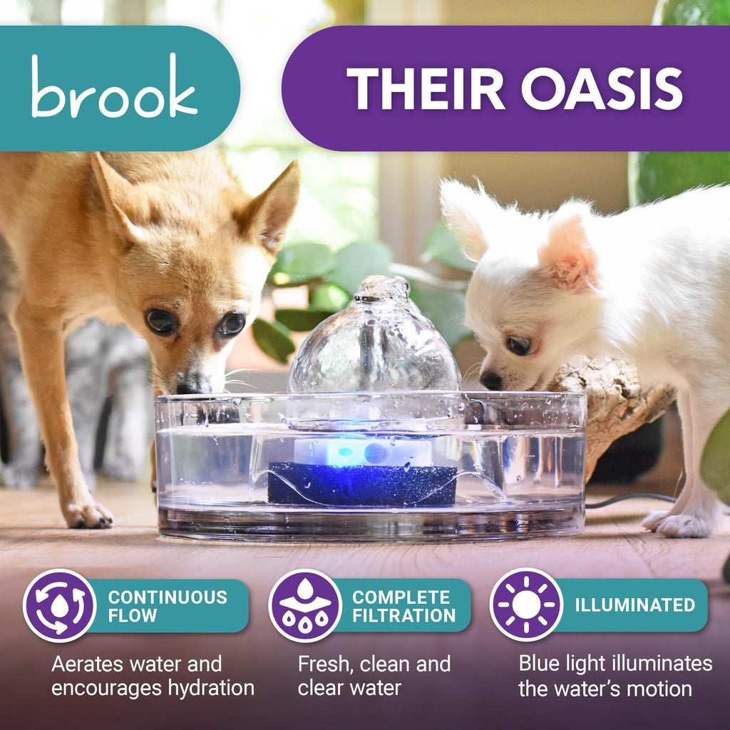 Brook Glass Cat Water Fountain 90oz – Dishwasher Safe Pet & Dog Fountain