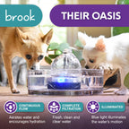 Brook Glass Cat Water Fountain 90oz – Dishwasher Safe Pet & Dog Fountain