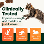 Buy now VetriScience Healthy Hip & Joint Chews, GlycoFlex Glucosamine and Green-Lipped Mussel Joint Support Supplement for Cats, Promote Mobility and Protect Joints, Chicken, 60 Count at indiglob india