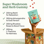 Plant People WonderCalm Mushroom & Ashwagandha Gummies, Peach Flavor 60ct | Natural Calm Gummies to Ease Stress & Boost Mood for Adults Without Sugar, Gluten or Artificial Colors, Vegan-Friendly