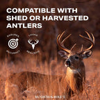 Buy now Mountain Mike's Reproductions Shed Spreader Antler Mounting Kit at indiglob india