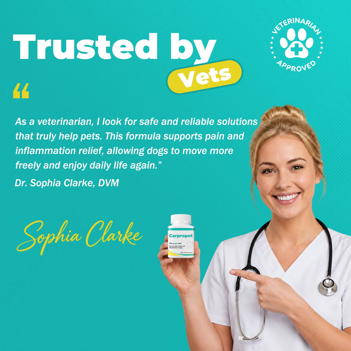 Dog Pain Relief Anti-Inflammatory, Joint Supplement for Dogs, Anti-Inflammatory Pain Support for Joint Stiffness & Soreness, Supports Mobility & Comfort, 60 Tablets