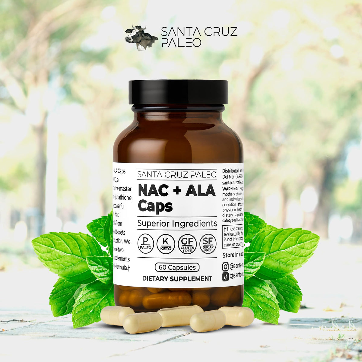 Santa Cruz Paleo, NAC + ALA Caps, NAC Supplement and Antioxidant Complex with Alpha Lipoic Acid and N-Acetyl Cysteine, Cellular Support and Nutrient Balance, Gluten Free, Keto, Paleo, 60 Capsules