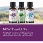 Buy now NOW Essential Oils, Peppermint Oil, Invigorating Aromatherapy Scent, Steam Distilled, 100% Pure, Vegan, Child Resistant Cap, 1-Ounce at indiglob india