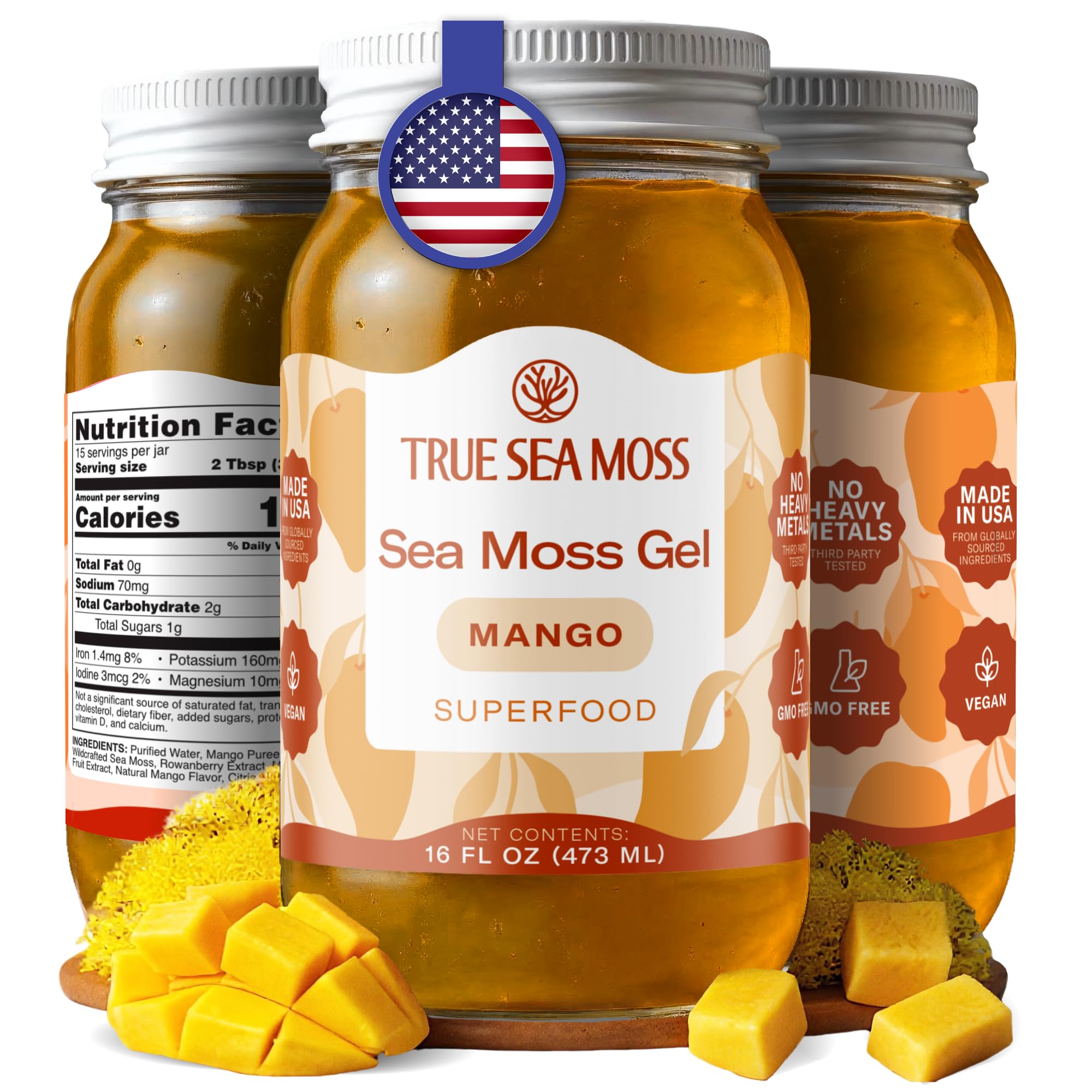 Buy now TrueSeaMoss Sea Moss Gel – Made in USA – Wildcrafted Seamoss, Fruits & Jarred Vegetables – Pineapple, Pack of 1 (Labels may Vary) Mango 16 Fl Oz (Pack of 1) at indiglob india