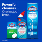 Buy now Clorox Toilet Bowl Cleaner Heavy Duty Stain and Ring Remover, Arctic Clean, 24 Fl Oz., Pack of 2 at indiglob india