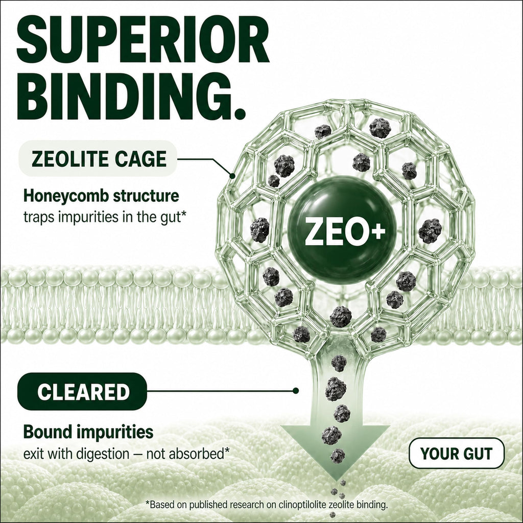 Zeolite Detox Binder, 8-in-1 Clinoptilolite & Activated Charcoal, 60ct | Natural Detoxification Pathways, Liver Health & Digestive Support: Milk Thistle & NAC