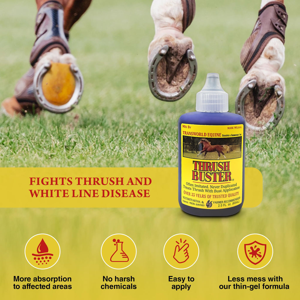 Thrush Treatment for Horses, Hoof Care Liquid to Help Maintain Healthy Hooves, Purple Stain Formula, Easy to Apply, Equine Farrier Favorite, 2 oz