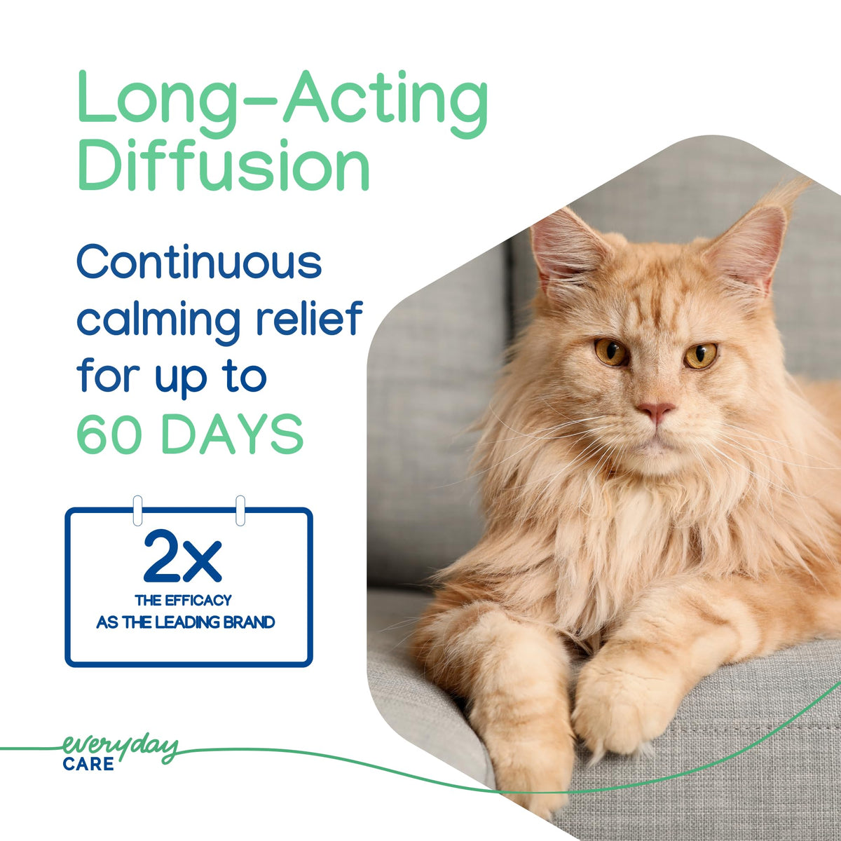 ZENIFEL Gel Diffuser Cat Calming Pheromone|Supports Stress Relief