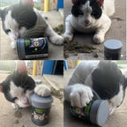 Smokey's Stash Silvervine Haze Potent Catnip and Silver Vine Blend for Cats