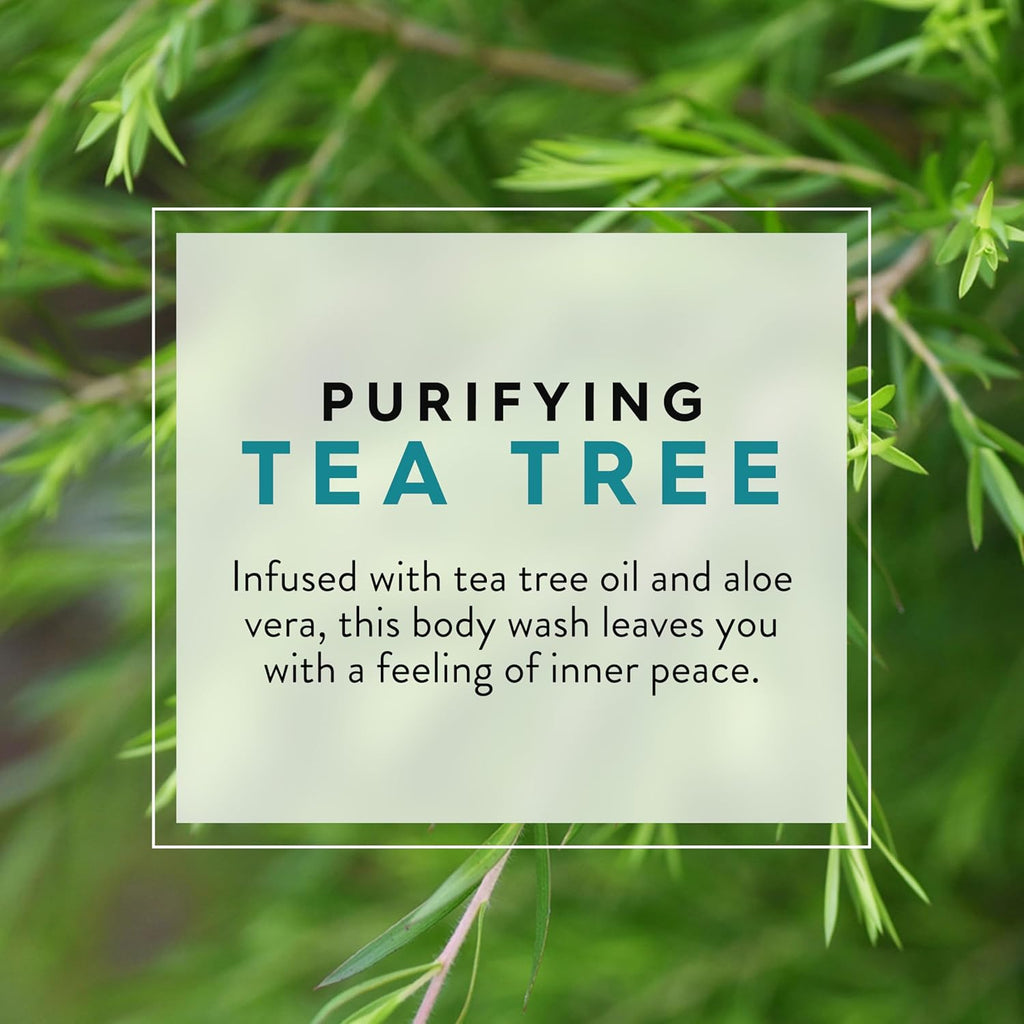 Buy now JASON Tea Tree Purifying Body Wash, For a Gentle Feeling Clean, 30 Fluid Ounces at indiglob india