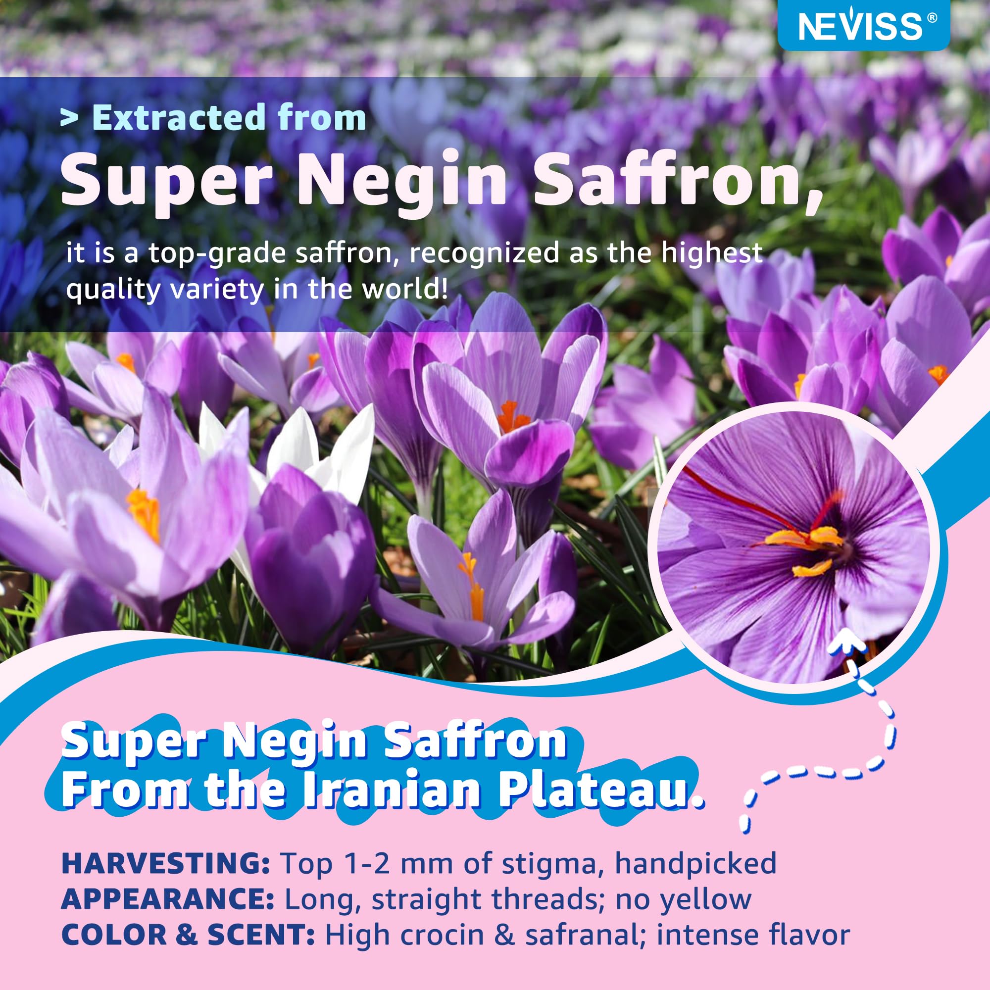 Saffron + Magnesium Glycinate+ Omega-3 - Calm Focus Gummies for Kids 4+, Saffron Extract Supplement w/L-Theanine, Holy Basil, Rosemary, B6, B9,B12, D3 for Happy Mood, Cognition, Nerve, Sugar Free