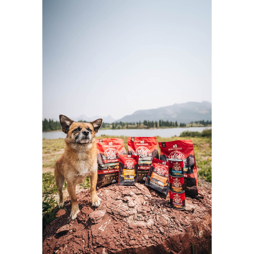 Stella & Chewy's Wild Red Coated GF Red Meat Dry Dog Food, 21 lb
