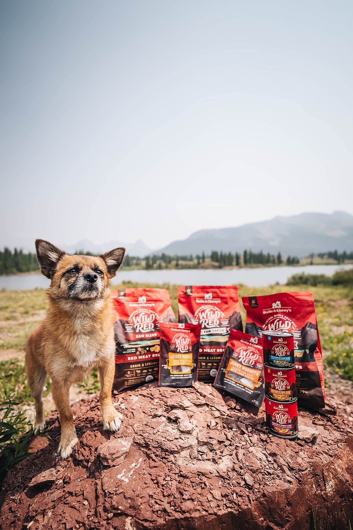 Stella & Chewy's Wild Red Coated GF Red Meat Dry Dog Food, 21 lb