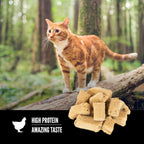 Buy now ORIJEN Freeze Dried Cat Treats Grain Free High Protein Raw Animal Ingredients Original 1.25oz Bag at indiglob india