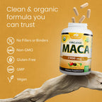 NaturaLife Labs Organic Maca Root – Black, Red & Yellow – 1900 mg per Serving – 150 Capsules – Gelatinized Peruvian Maca – Non-GMO, Gluten-Free, Vegan (2 Pack)