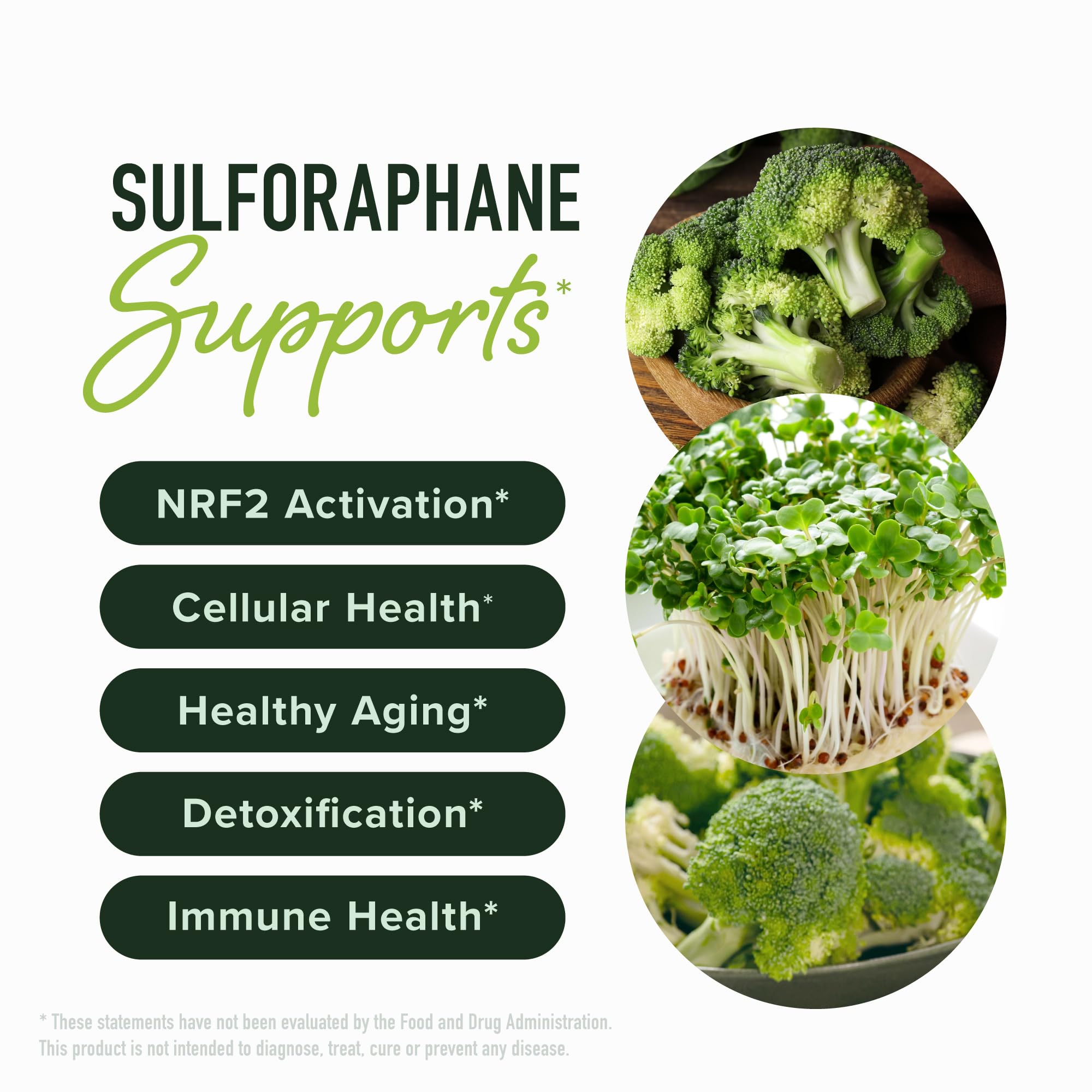 50MG Sulforaphane Supplement from Broccoli Sprouts, Doctor-Formulated | NRF2 Activation, Cellular Health & Immune Support, Glucoraphanin & Myrosinase, Third-Party Tested, 60 Broccoli Seed Beadlets