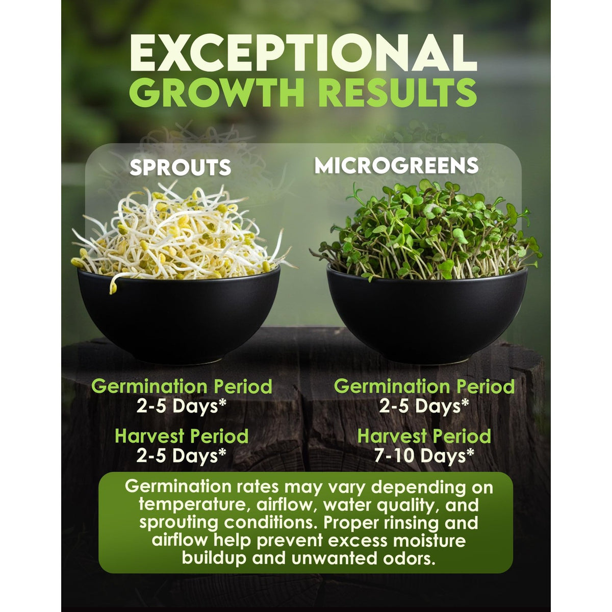 Nature Jim's Sprouts Salad Mix – Broccoli, Alfalfa, Clover, Radish, 1lb