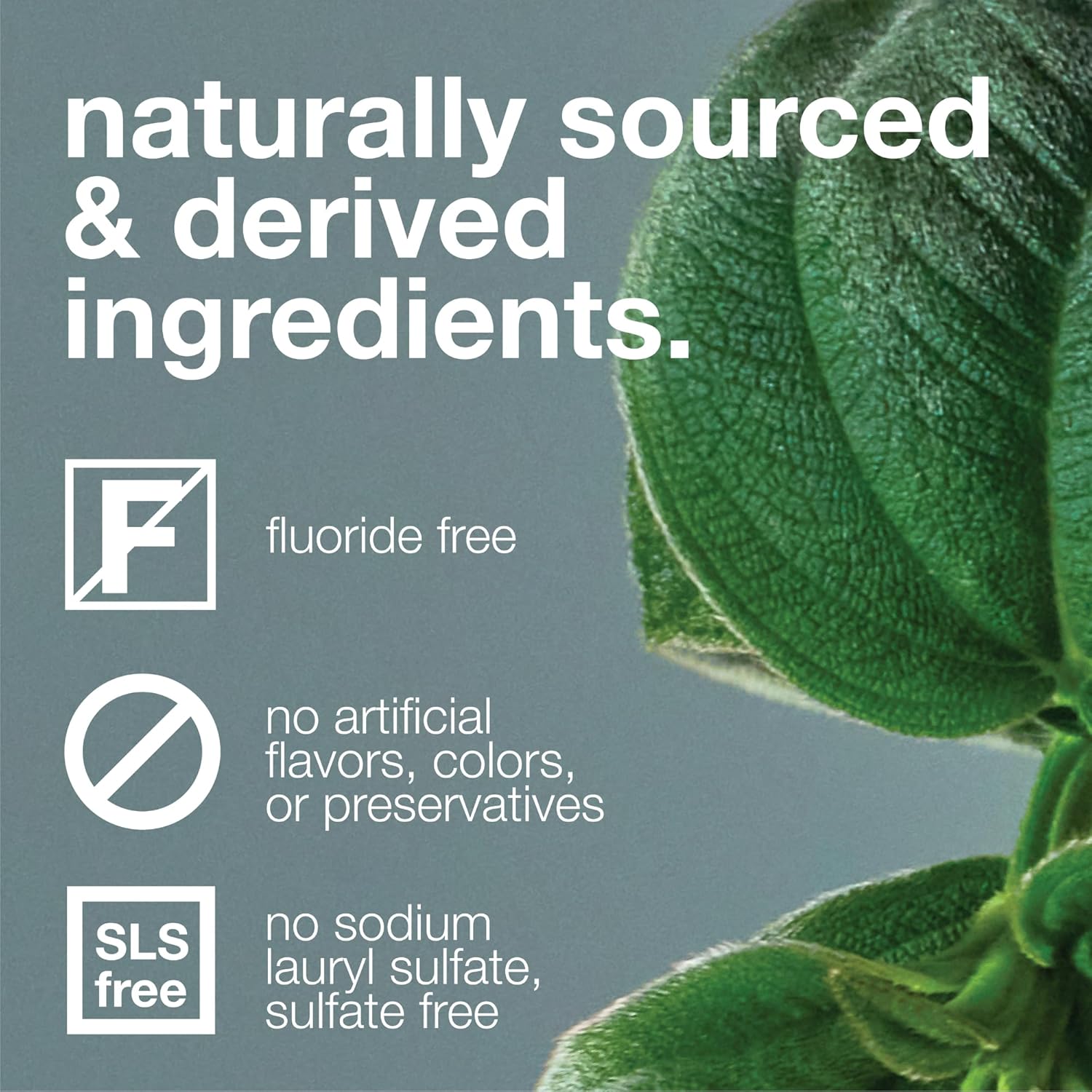 Buy now Davids Fluoride Free Toothpaste, Teeth Whitening, Antiplaque, SLS (Sulfate) Free, Promotes Enamel Health, Mouth & Gum Detox, EWG Verified, Peppermint, 5.25oz at indiglob india