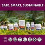 Host Defense Turkey Tail, Digestive & Immune, 240 (2 Units of 120 Ct) | Digestive, Gastrointestinal, Immune Response, and Gut Microbiome Support, Turkey Tail Mushroom Supplement, 60 Servings Each