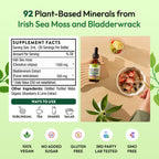 Pella Nutrition Sea Moss Drops with Bladderwrack - Strawberry Lime, 60 mL
